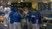 celebration homer GIF by MLB