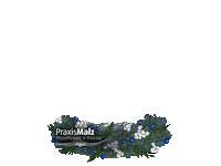 Winter Globe Sticker by Praxis Malz