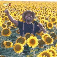 Happy Good Morning GIF by TRT