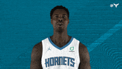 North Carolina Sport GIF by Charlotte Hornets