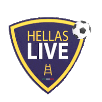 calcio verona Sticker