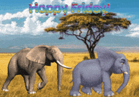 Expressions Elephants GIF