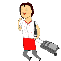 Confused Cabin Crew Sticker