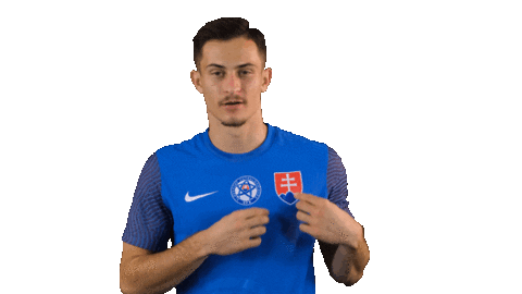 Football Celebration Sticker by Slovensky futbalovy zvaz