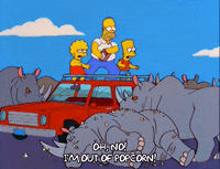 homer simpson GIF