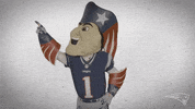 Happy Dance GIF by New England Patriots