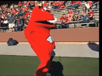 Big Red University GIF