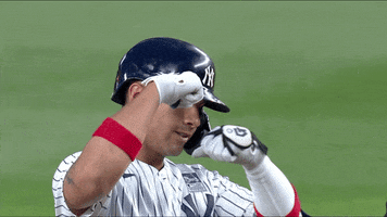 Celebrating New York GIF by YES Network