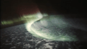 GIF by Fandor