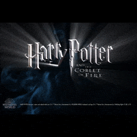 GIF by CineConcerts