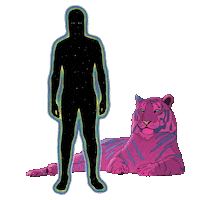 Magic Cat Sticker by GASLAMPKILLER