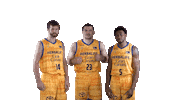 Liga Endesa Basketball Sticker by ACB