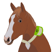 Digitanimal laugh animal horse risas Sticker
