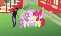 My Little Pony GIF
