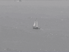 hazel english GIF by Polyvinyl Records