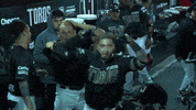 Baseball Haircut GIF by Toros de Tijuana