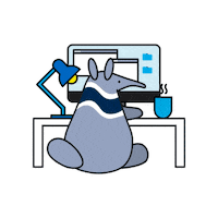 uci_oit computer peter desk uci Sticker