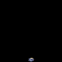 zab_oficial  GIF