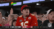 Kc Chiefs Football GIF by NFL