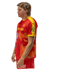 Handball Proligue Sticker by Les vikings de Caen