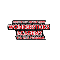 Yfa Sticker by Youth Floorball Academy