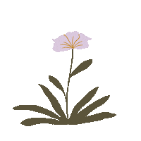 Flower Plant Sticker