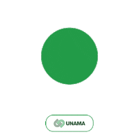 Veterinaria Ensino A Distancia Sticker by UNAMA