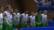 GIF by Volleyball World