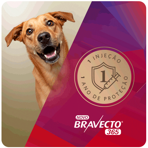 Bravecto GIF by MSD Família Pet