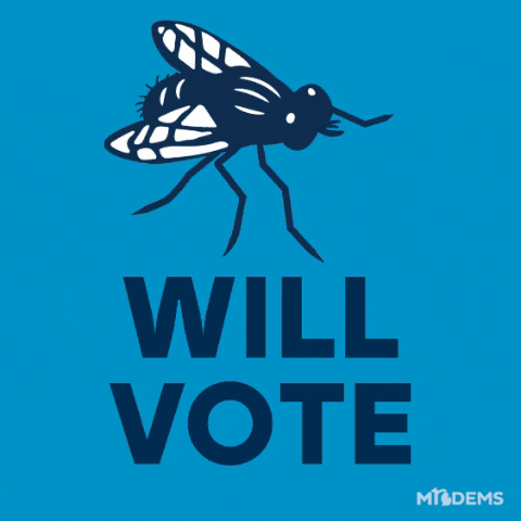 Fly Voting GIF by Michigan Democratic Party