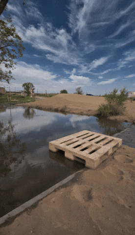 Bg Veo GIF by Aleksey Efremov