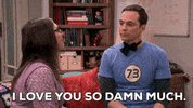 I Love You Episode 24 GIF by The Big Bang Theory