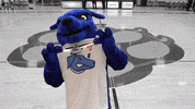 Oshawa GIF by Ontario Tech Ridgebacks