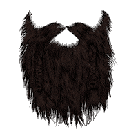 Viking Cervejariaodin Sticker by ODIN
