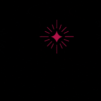 kivilcimdernegi spark kıvılcım kivilcim herseyicinbirkivilcim GIF