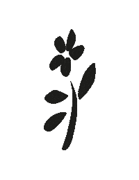 Vegan Skincare Sticker by RINGANA