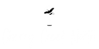 Cherry Creek Sticker by Freebird Stores