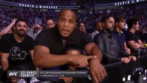 ufc 229 sport GIF by UFC