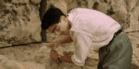 Dream Big Timothee Chalamet GIF by A24