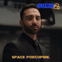 Space Porcupine
