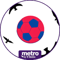 South Korea Football Sticker by Metro by T-Mobile