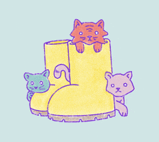 pbkiner cats kitty kittens boots GIF