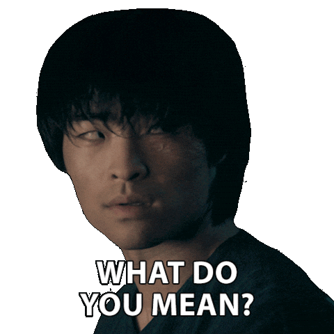 What Do You Mean Avatar The Last Airbender Sticker by NETFLIX