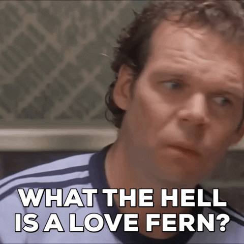 How To Lose A Guy In 10 Days Love Fern GIF by Joseph Raja