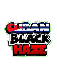 Cuba Haze Sticker by Breeder Piff