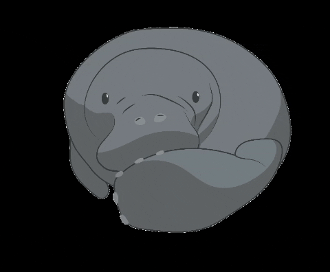 fundacaotoyota giphygifmaker brasil sustentabilidade nordeste GIF