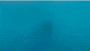GIF by tripredictor