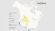 long-billed curlew GIF by audubon