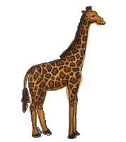 Sketch Dancing Sticker by By Sauts // Alex Sautter