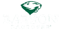Athletics Lacrosse Sticker by Babson College